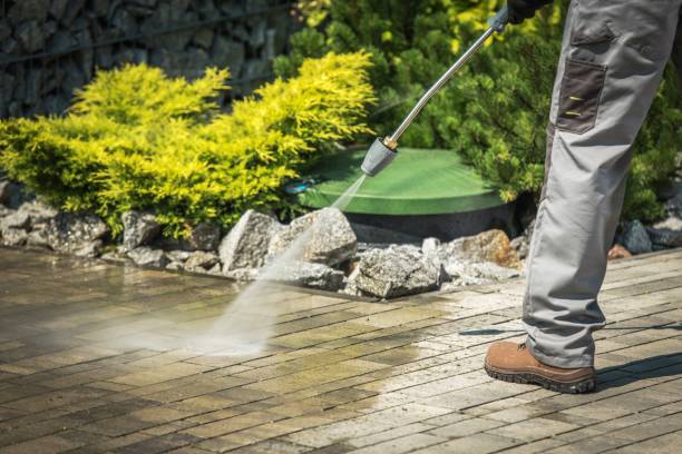 Best Spring Cleaning  in Pahoa, HI