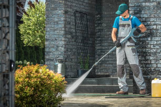Best Roof Washing  in Pahoa, HI