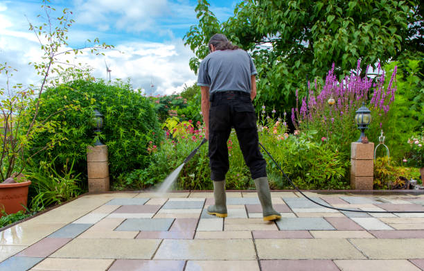 Best Animal Enclosure Cleaning  in Pahoa, HI